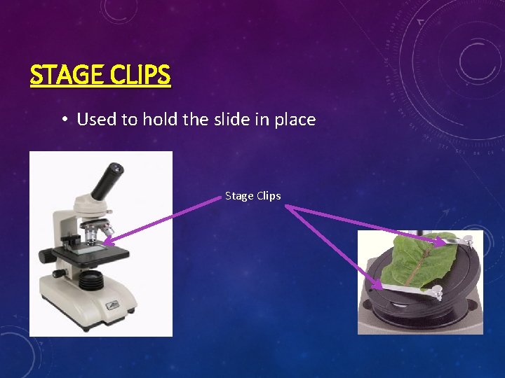 STAGE CLIPS • Used to hold the slide in place Stage Clips 