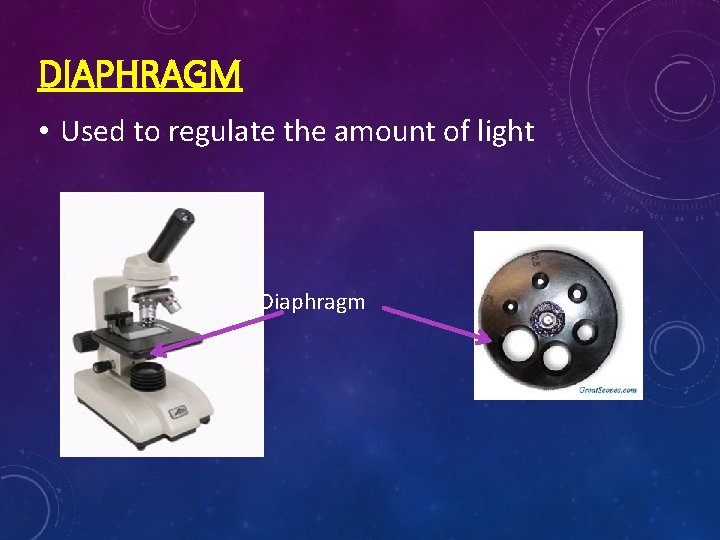 DIAPHRAGM • Used to regulate the amount of light Diaphragm 