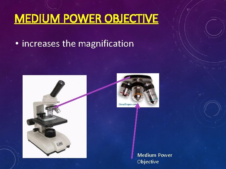 MEDIUM POWER OBJECTIVE • increases the magnification Medium Power Objective 