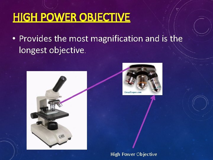 HIGH POWER OBJECTIVE • Provides the most magnification and is the longest objective. High