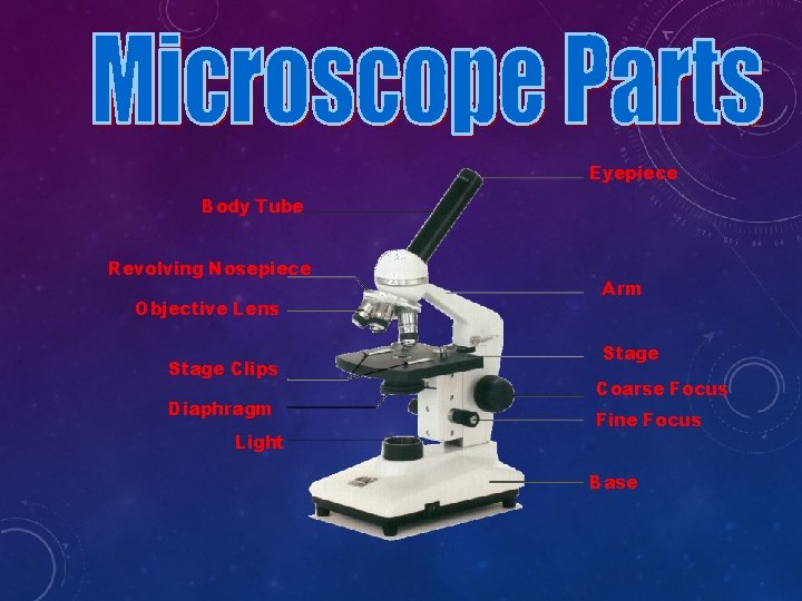 Eyepiece Body Tube Revolving Nosepiece Objective Lens Stage Clips Diaphragm Light Arm Stage Coarse