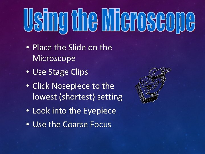  • Place the Slide on the Microscope • Use Stage Clips • Click