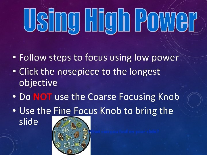  • Follow steps to focus using low power • Click the nosepiece to