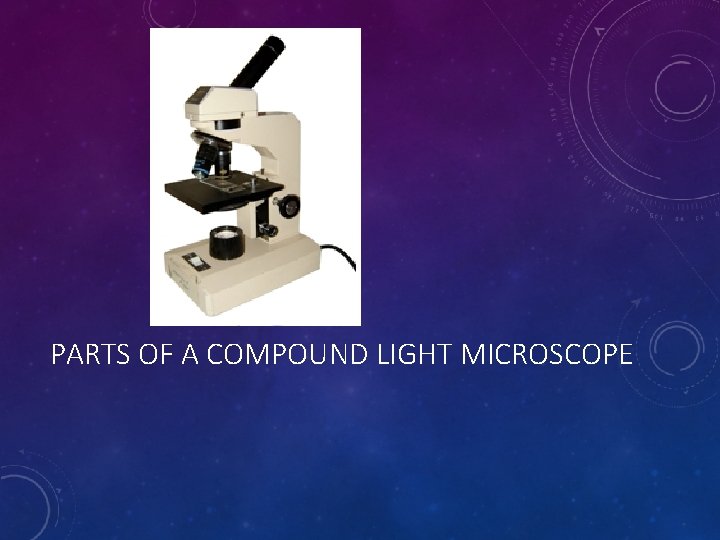 PARTS OF A COMPOUND LIGHT MICROSCOPE 