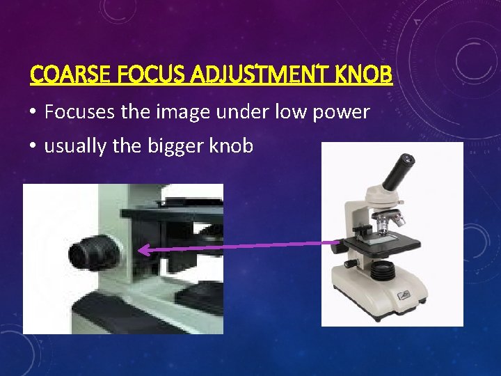 COARSE FOCUS ADJUSTMENT KNOB • Focuses the image under low power • usually the