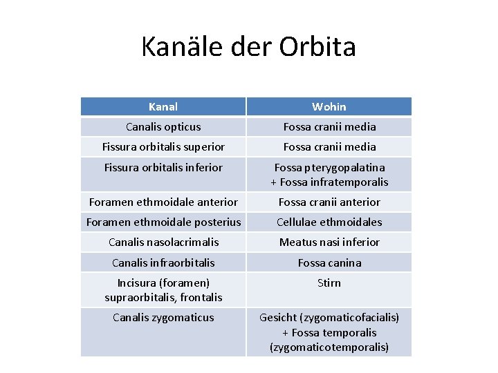 Kanäle der Orbita Kanal Wohin Canalis opticus Fossa cranii media Fissura orbitalis superior Fossa