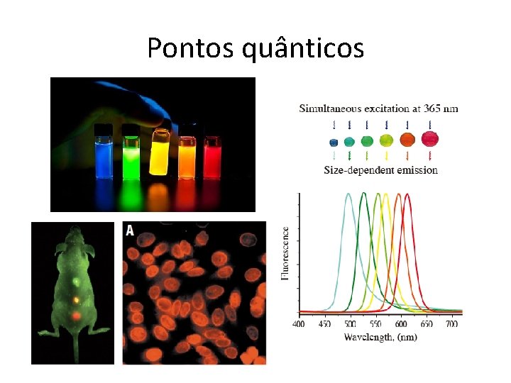 Pontos quânticos 