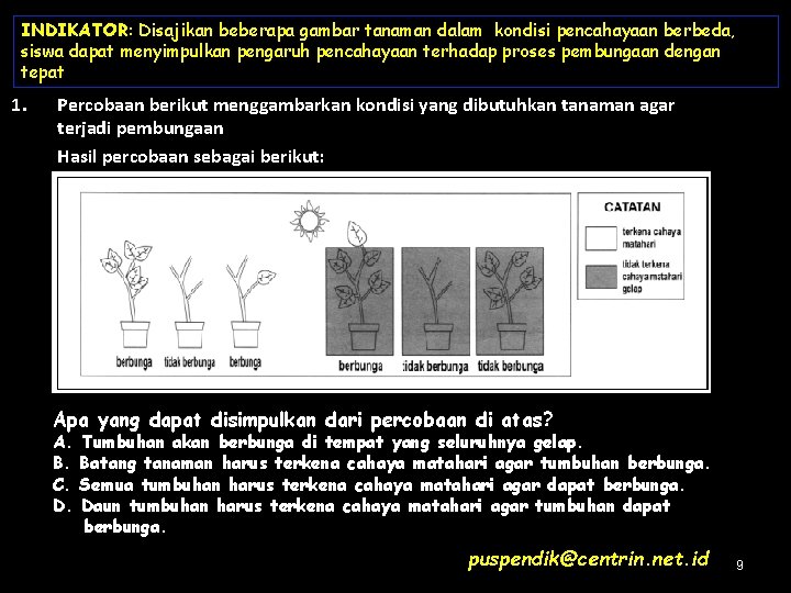 INDIKATOR: Disajikan beberapa gambar tanaman dalam kondisi pencahayaan berbeda, siswa dapat menyimpulkan pengaruh pencahayaan