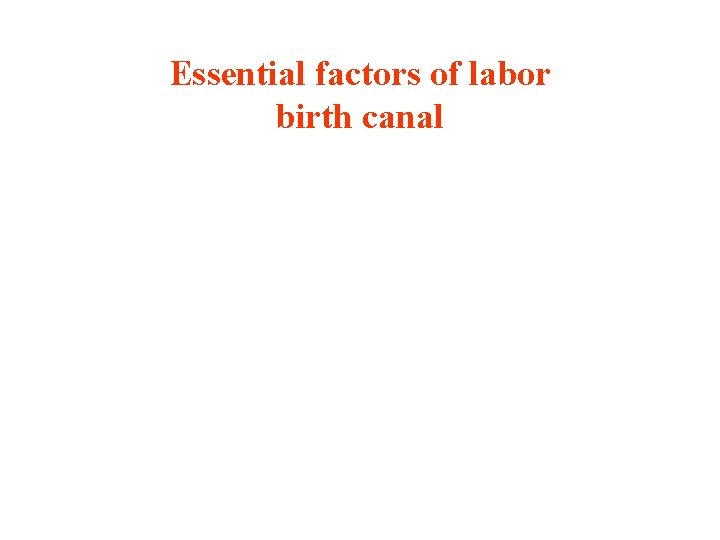 Essential factors of labor birth canal 