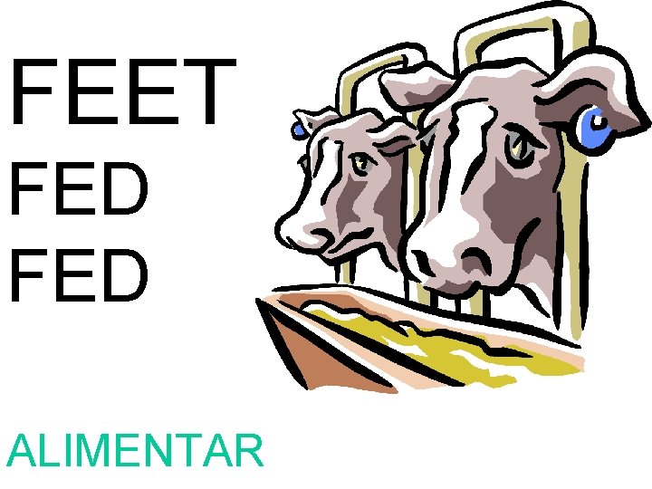 FEET FED ALIMENTAR 