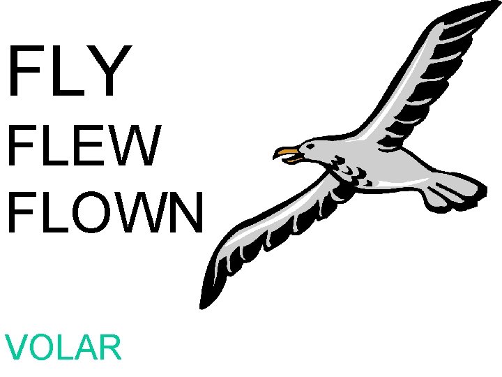 FLY FLEW FLOWN VOLAR 