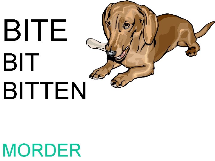 BITE BITTEN MORDER 