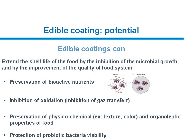 Edible coating: potential Edible coatings can Extend the shelf life of the food by