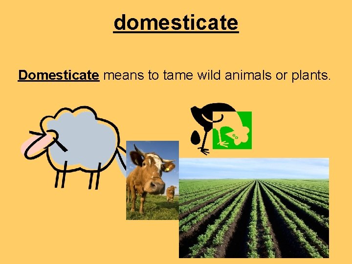 domesticate Domesticate means to tame wild animals or plants. 