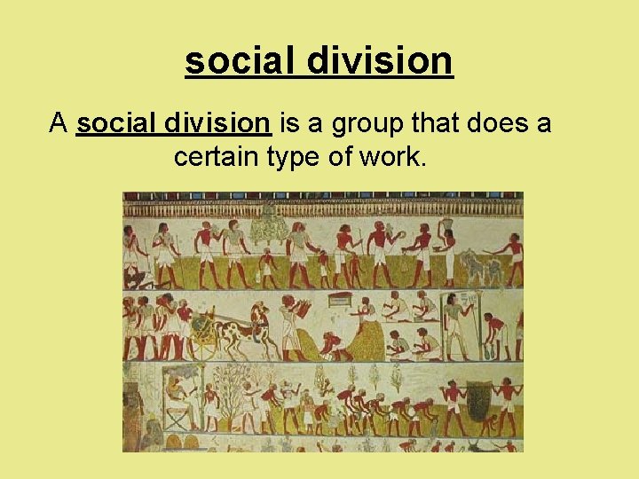 social division A social division is a group that does a certain type of