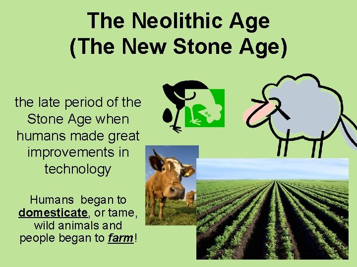 The Neolithic Age (The New Stone Age) the late period of the Stone Age