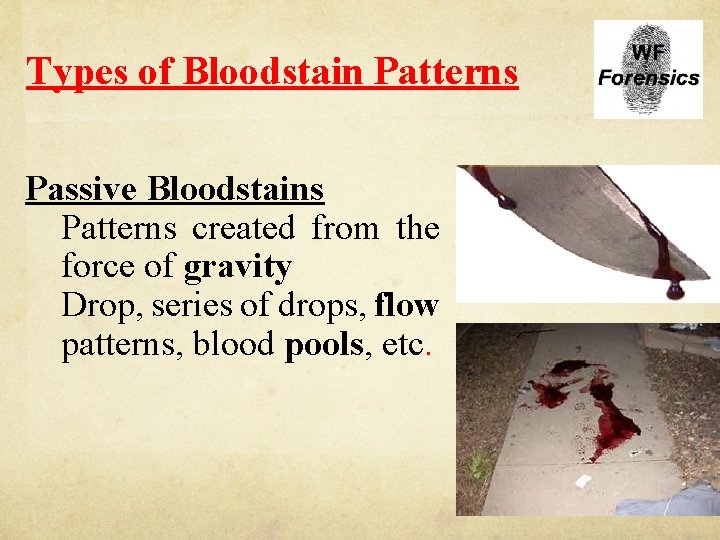 Types of Bloodstain Patterns Passive Bloodstains Patterns created from the force of gravity Drop,