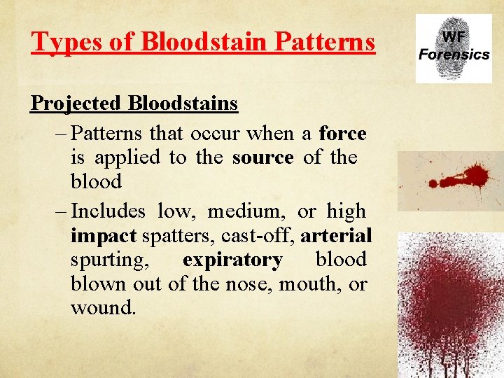 Types of Bloodstain Patterns Projected Bloodstains – Patterns that occur when a force is