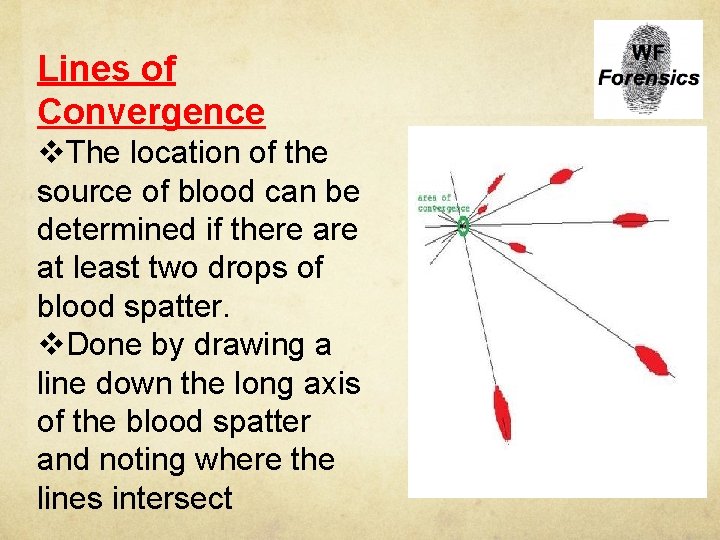 Lines of Convergence v. The location of the source of blood can be determined