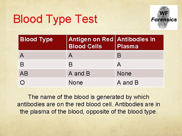 Blood Type Test Blood Type Antigen on Red Antibodies in Blood Cells Plasma A