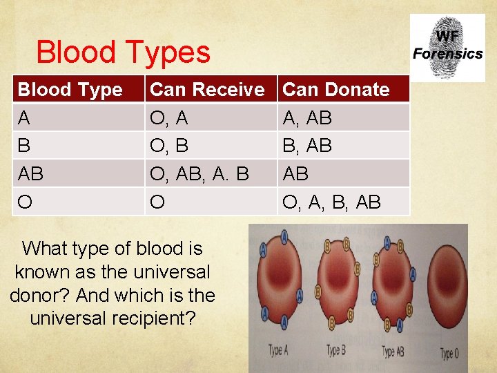 Blood Types Blood Type A B AB O Can Receive O, A O, B