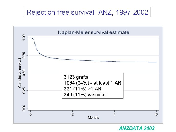 Rejection-free survival, ANZ, 1997 -2002 3123 grafts 1064 (34%) - at least 1 AR