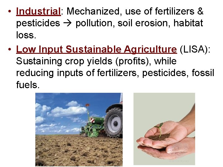  • Industrial: Mechanized, use of fertilizers & pesticides pollution, soil erosion, habitat loss.