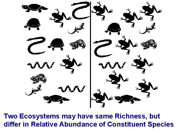 Two Ecosystems may have same Richness, but differ in Relative Abundance of Constituent Species