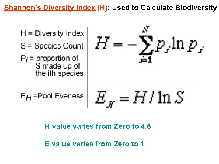 Shannon’s Diversity Index (H): Used to Calculate Biodiversity H value varies from Zero to