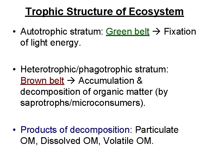 Trophic Structure of Ecosystem • Autotrophic stratum: Green belt Fixation of light energy. •