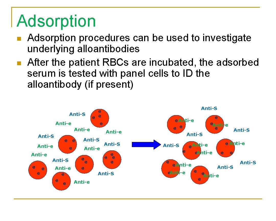 Adsorption n n Adsorption procedures can be used to investigate underlying alloantibodies After the
