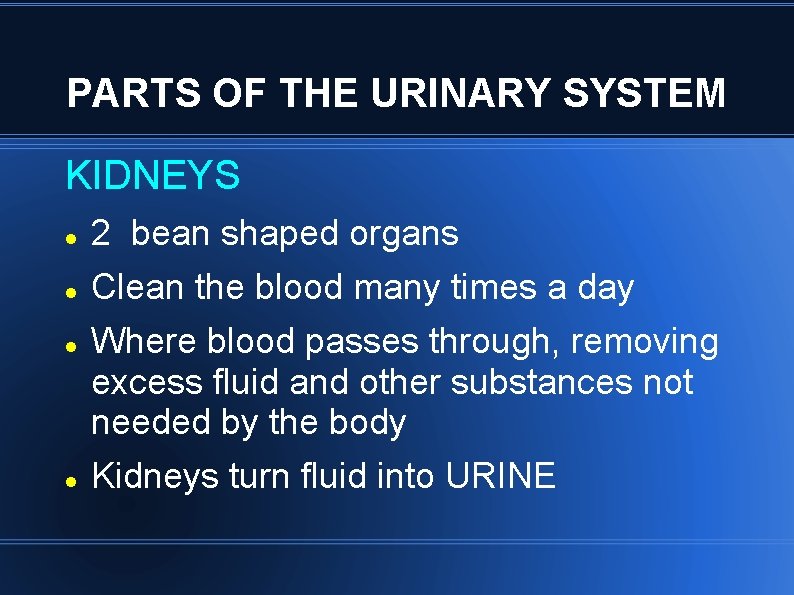 PARTS OF THE URINARY SYSTEM KIDNEYS 2 bean shaped organs Clean the blood many PARTS OF THE URINARY SYSTEM KIDNEYS 2 bean shaped organs Clean the blood many