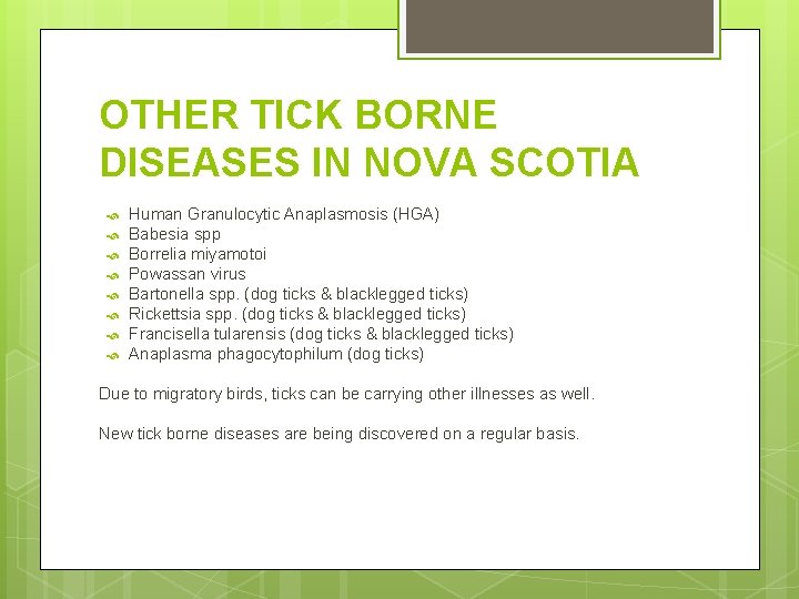 OTHER TICK BORNE DISEASES IN NOVA SCOTIA Human Granulocytic Anaplasmosis (HGA) Babesia spp Borrelia