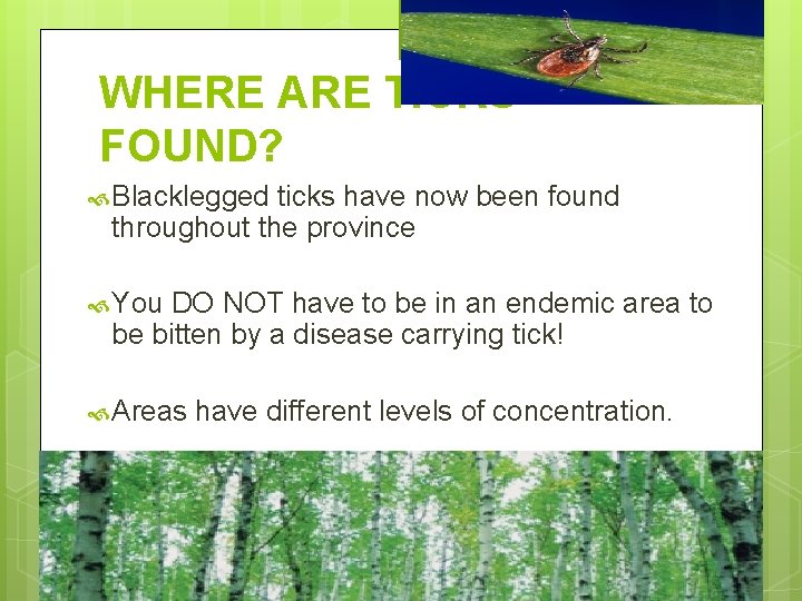 WHERE ARE TICKS FOUND? Blacklegged ticks have now been found throughout the province You