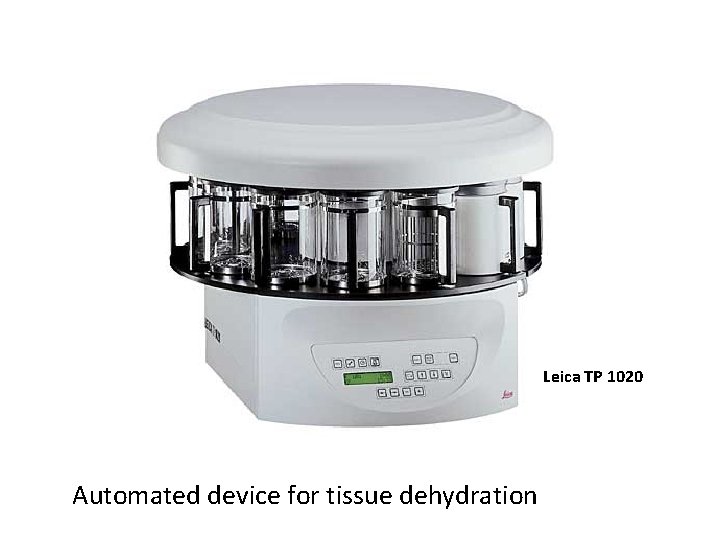 Leica TP 1020 Automated device for tissue dehydration 