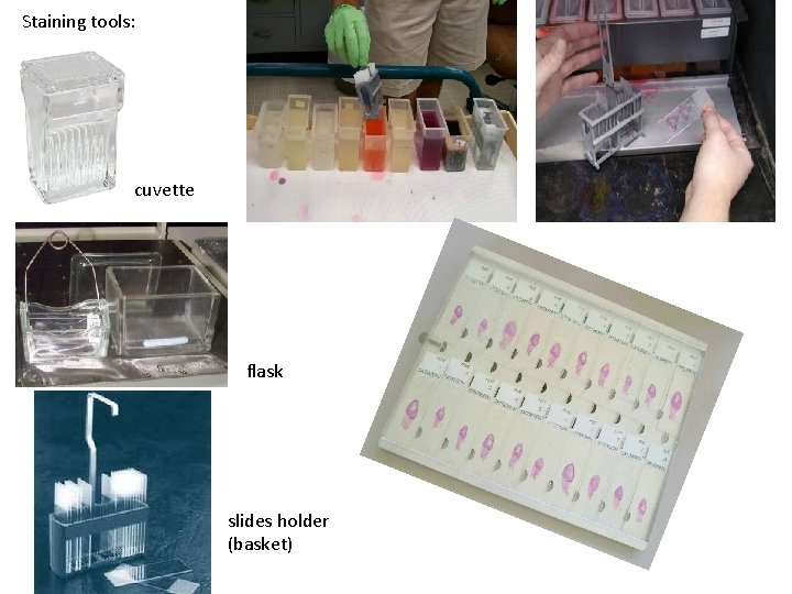 Staining tools: cuvette flask slides holder (basket) 