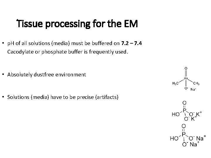 Tissue processing for the EM • p. H of all solutions (media) must be