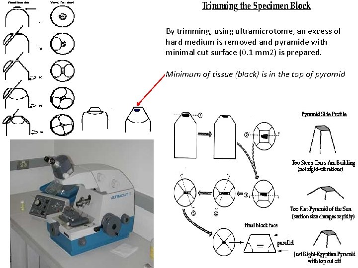By trimming, using ultramicrotome, an excess of hard medium is removed and pyramide with