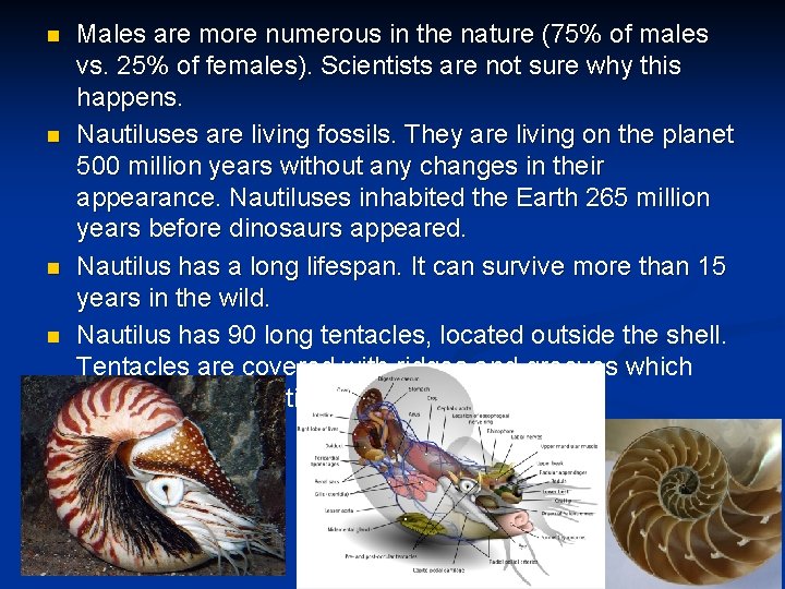 n n Males are more numerous in the nature (75% of males vs. 25%