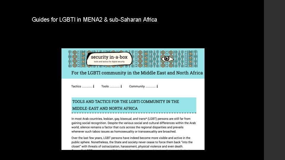 Guides for LGBTI in MENA 2 & sub-Saharan Africa 