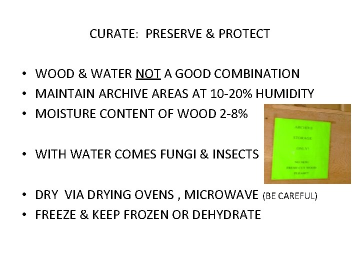 CURATE: PRESERVE & PROTECT • WOOD & WATER NOT A GOOD COMBINATION • MAINTAIN