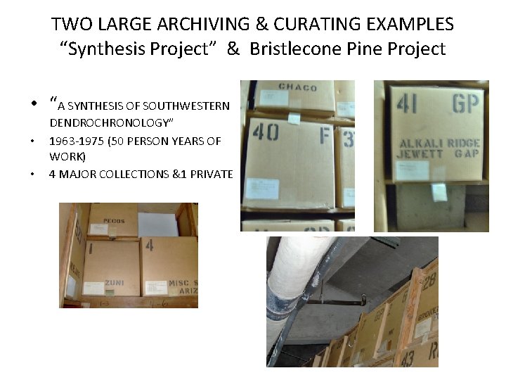 TWO LARGE ARCHIVING & CURATING EXAMPLES “Synthesis Project” & Bristlecone Pine Project • “A