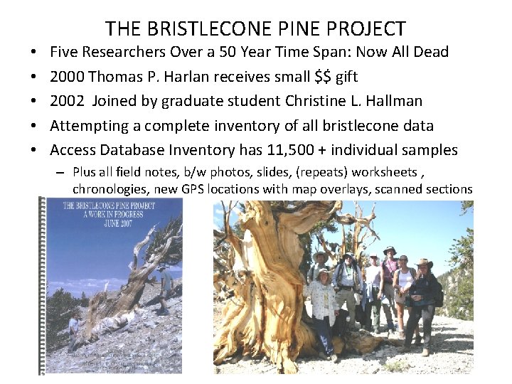  • • • THE BRISTLECONE PINE PROJECT Five Researchers Over a 50 Year