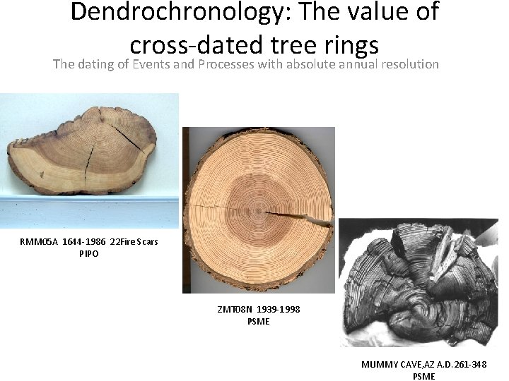 Dendrochronology: The value of cross-dated tree rings The dating of Events and Processes with