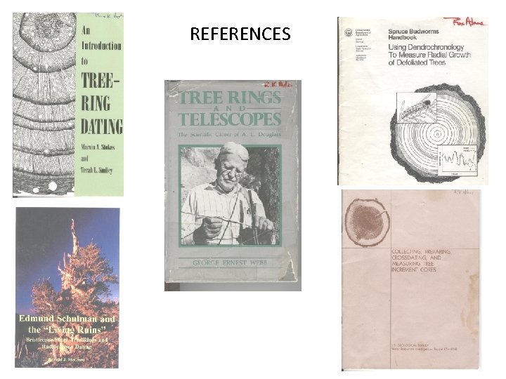 REFERENCES 