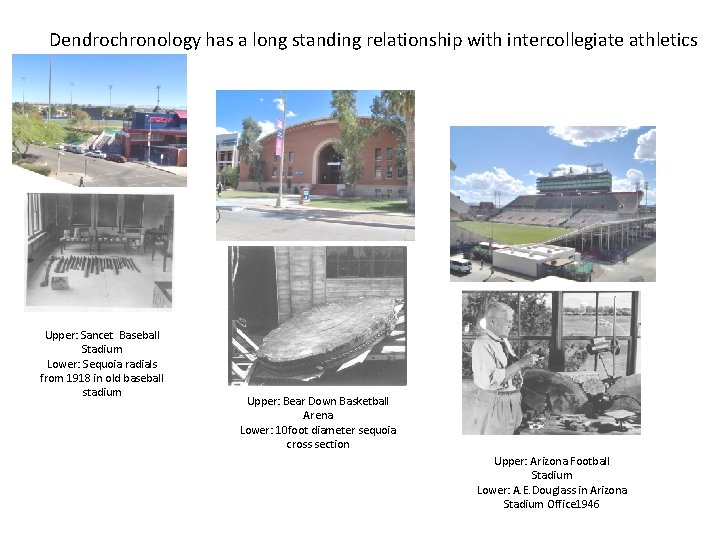 Dendrochronology has a long standing relationship with intercollegiate athletics Upper: Sancet Baseball Stadium Lower: