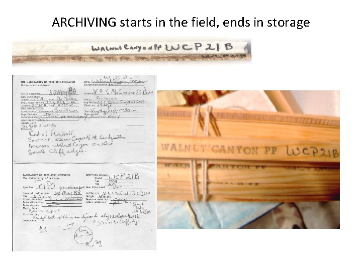 ARCHIVING starts in the field, ends in storage 