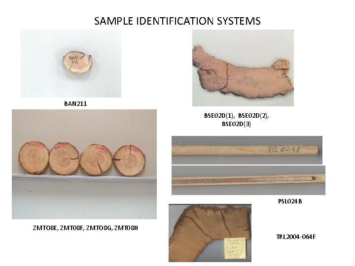 SAMPLE IDENTIFICATION SYSTEMS BAN 211 BSE 02 D(1), BSE 02 D(2), BSE 02 D(3)