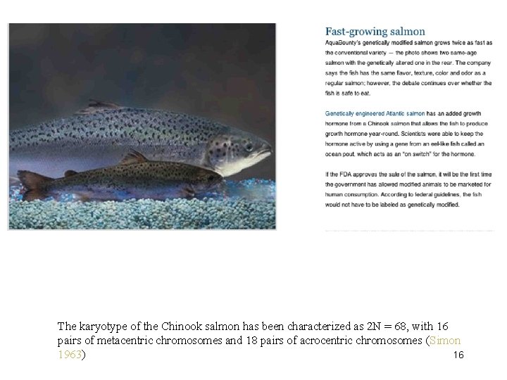 The karyotype of the Chinook salmon has been characterized as 2 N = 68,