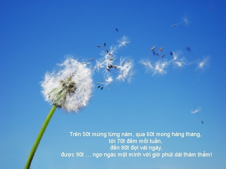 Trên 50 t mừng từng năm, qua 60 t mong hàng tháng, tới 70